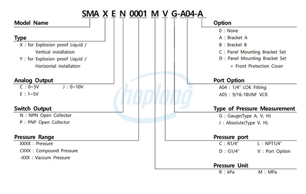 Sơ đồ chọn mã Cảm biến áp suất kỹ thuật số SMA(EX) Sensys